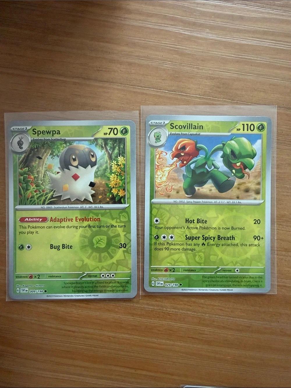 Pokemon scarlet violet
